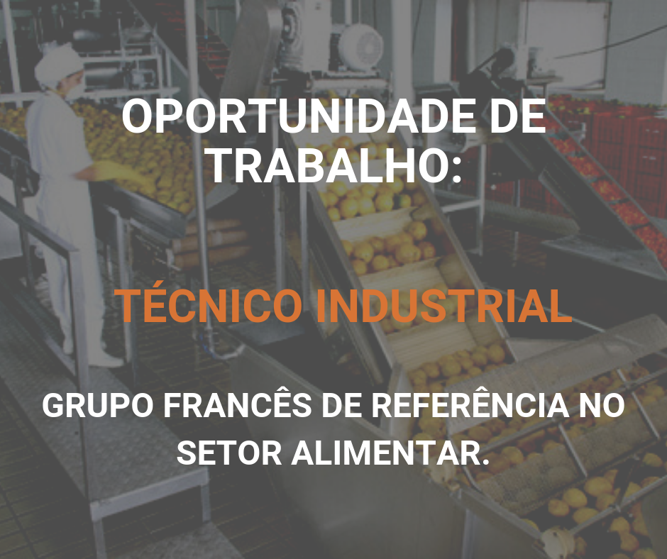 Técnico Industrial (M/F)