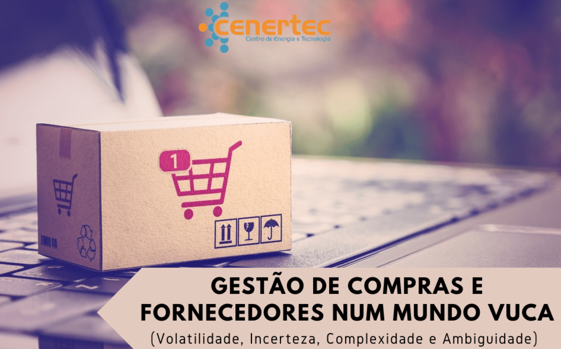 Gestão de Compras e Fornecedores num mundo VUCA (Volatilidade, Incerteza, Complexidade e Ambiguidade)