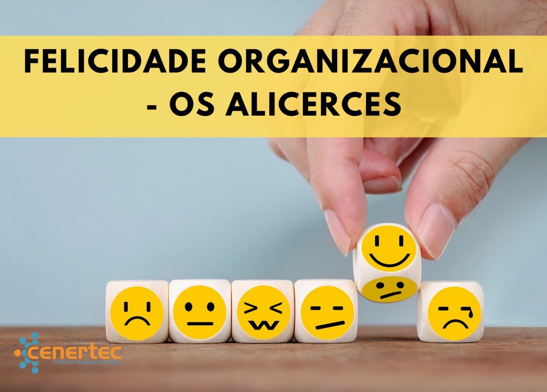 Felicidade Organizacional – Os Alicerces Thumbnail