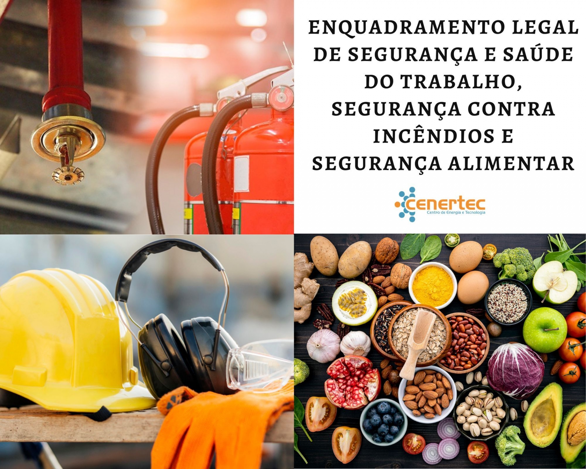 Enquadramento Legal de Segurança e Saúde do Trabalho, Segurança Contra Incêndios e Segurança Alimentar Thumbnail