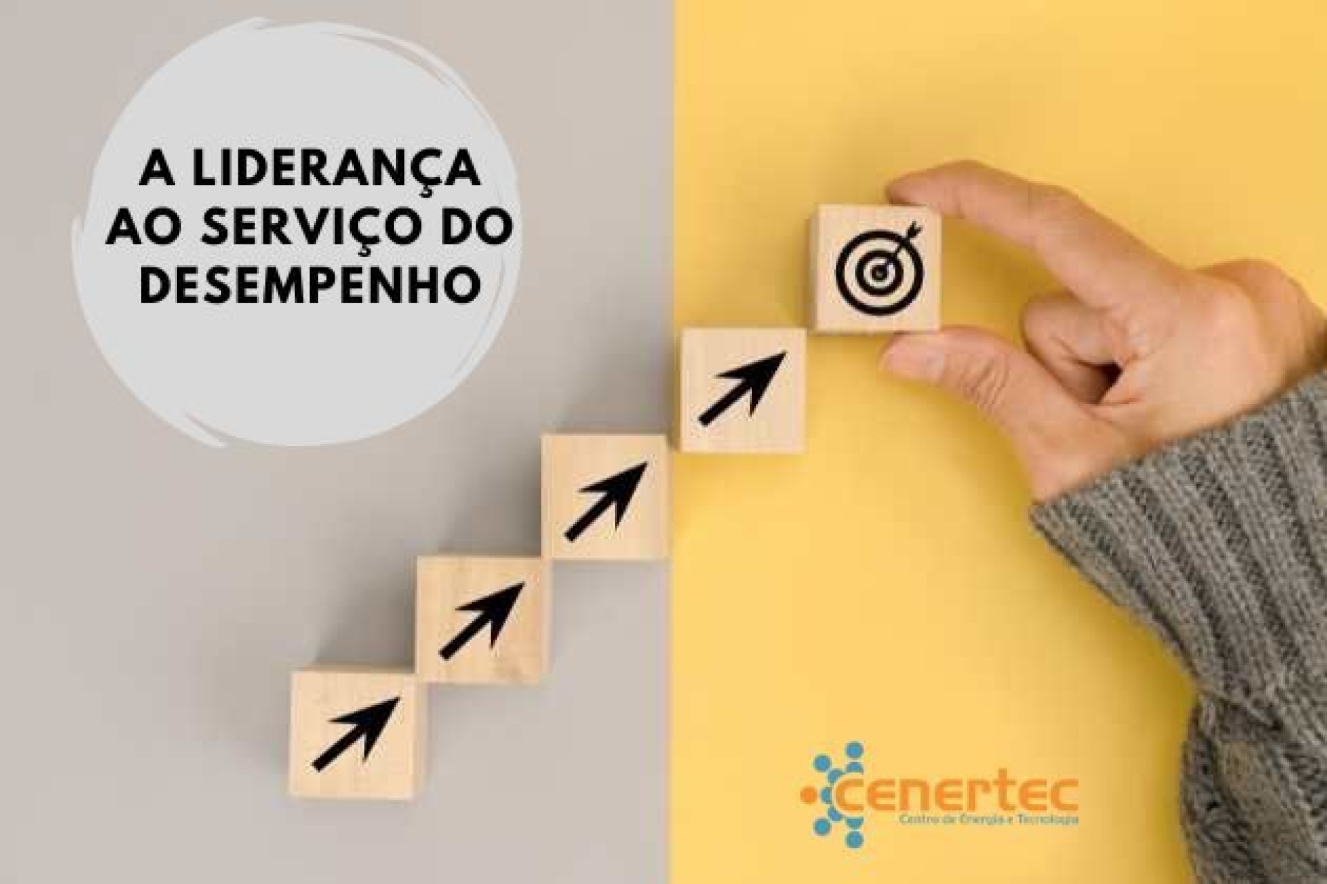 A Liderança ao Serviço do Desempenho Thumbnail